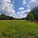 بيت للعطل Masuria Warsaw - Dom Na Wylacznosc - W Lesie I Przy Rzece - 15 Min Od Warszawy