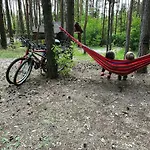 度假居 Masuria Warsaw - Dom Na Wylacznosc - W Lesie I Przy Rzece - 15 Min Od Warszawy Skrzeszew