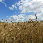 Masuria Warsaw - Dom Na Wylacznosc - W Lesie I Przy Rzece - 15 Min Od Warszawy 度假居