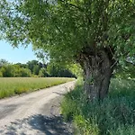 Masuria Warsaw - Dom Na Wylacznosc - W Lesie I Przy Rzece - 15 Min Od Warszawy * Skrzeszew
