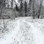 Masuria Warsaw - Dom Na Wylacznosc - W Lesie I Przy Rzece - 15 Min Od Warszawy 度假居 Skrzeszew