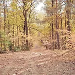 Masuria Warsaw - Dom Na Wylacznosc - W Lesie I Przy Rzece - 15 Min Od Warszawy * Skrzeszew