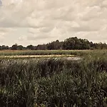 Masuria Warsaw - Dom Na Wylacznosc - W Lesie I Przy Rzece - 15 Min Od Warszawy *