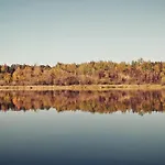 Masuria Warsaw - Dom Na Wylacznosc - W Lesie I Przy Rzece - 15 Min Od Warszawy 度假居 *