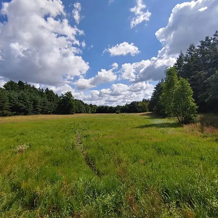 Ferienhaus Masuria Warsaw - Dom Na Wylacznosc - W Lesie I Przy Rzece - 15 Min Od Warszawy