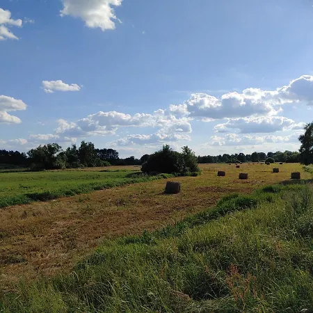 Masuria Warsaw * Skrzeszew