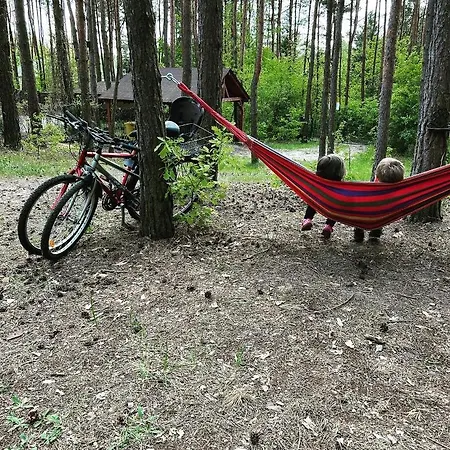 Holiday home Masuria Warsaw Skrzeszew