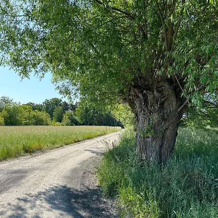 Masuria Warsaw - Dom Na Wylacznosc - W Lesie I Przy Rzece - 15 Min Od Warszawy * Skrzeszew