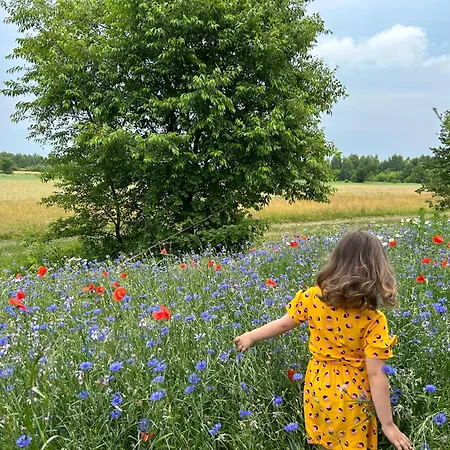 Masuria Warsaw - Dom Na Wylacznosc - W Lesie I Przy Rzece - 15 Min Od Warszawy Ferienhaus *