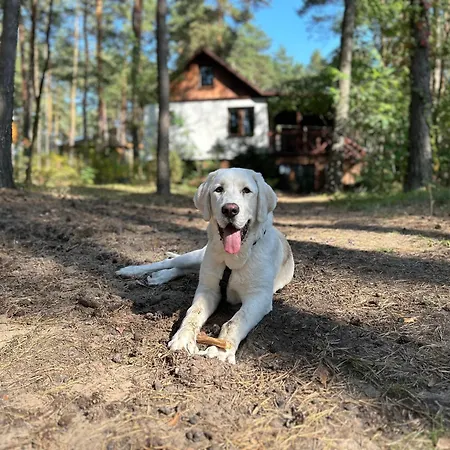 Masuria Warsaw - Dom Na Wylacznosc - W Lesie I Przy Rzece - 15 Min Od Warszawy Ferienhaus