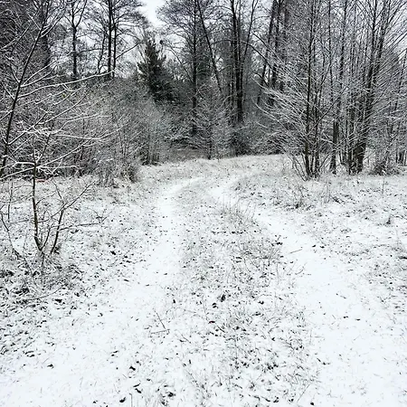 Masuria Warsaw - Dom Na Wylacznosc - W Lesie I Przy Rzece - 15 Min Od Warszawy Ferienhaus Skrzeszew