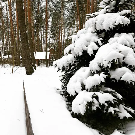 Masuria Warsaw - Dom Na Wylacznosc - W Lesie I Przy Rzece - 15 Min Od Warszawy Skrzeszew