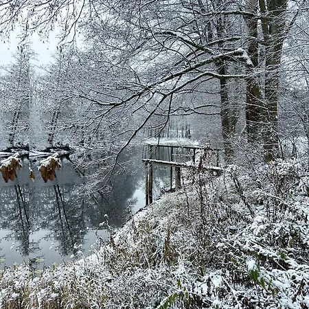Masuria Warsaw - Dom Na Wylacznosc - W Lesie I Przy Rzece - 15 Min Od Warszawy Ferienhaus Skrzeszew