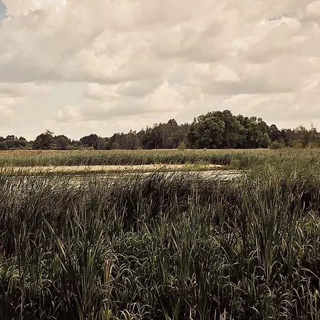 Masuria Warsaw - Dom Na Wylacznosc - W Lesie I Przy Rzece - 15 Min Od Warszawy *