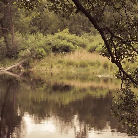 Masuria Warsaw - Dom Na Wylacznosc - W Lesie I Przy Rzece - 15 Min Od Warszawy Ferienhaus *
