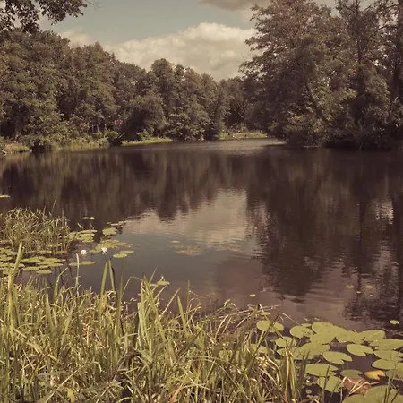 Masuria Warsaw - Dom Na Wylacznosc - W Lesie I Przy Rzece - 15 Min Od Warszawy *