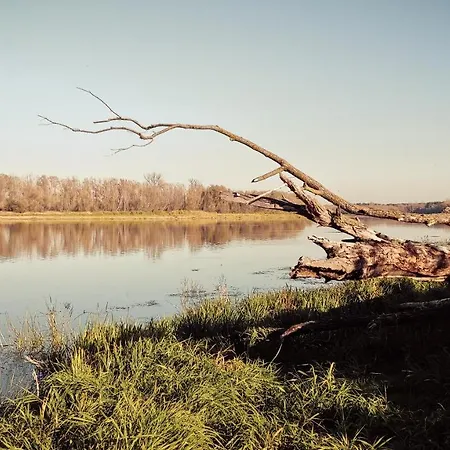 Ferienhaus Masuria Warsaw - Dom Na Wylacznosc - W Lesie I Przy Rzece - 15 Min Od Warszawy *