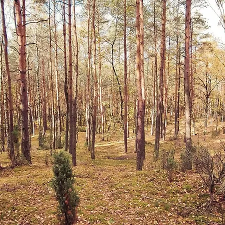 Masuria Warsaw Holiday home *